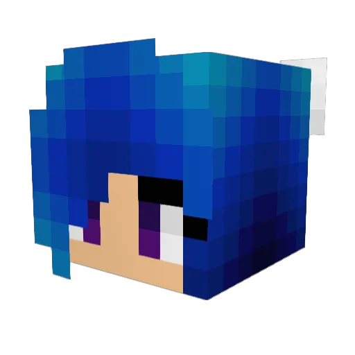 hotboxpussi Minecraft avatar head, 3D render