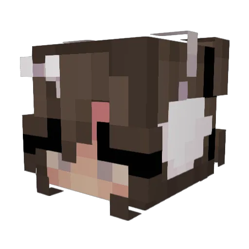 hotcheetoforever Minecraft avatar head, 3D render