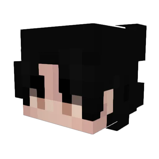 hotdadz Minecraft avatar head, 3D render