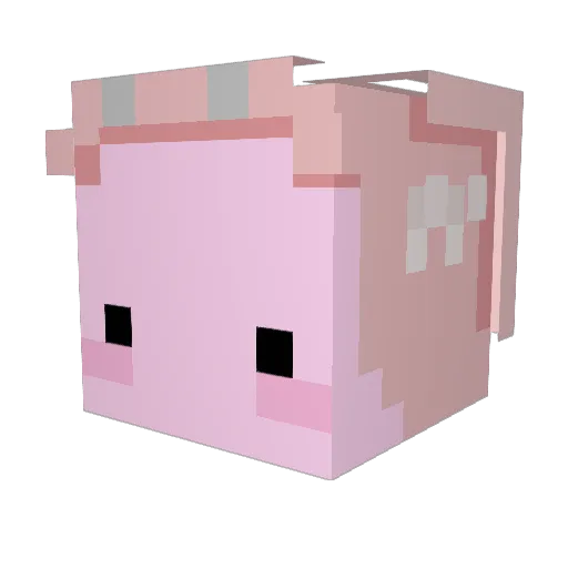 hotdiggitydoge Minecraft avatar head, 3D render