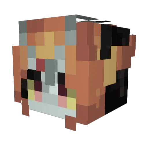 hotdogneo Minecraft avatar head, 3D render
