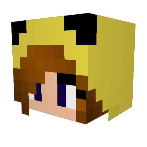 hotdogs11 Minecraft avatar head, 3D render