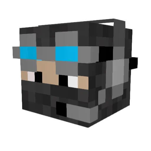 hotdogzoomer Minecraft avatar head, 3D render