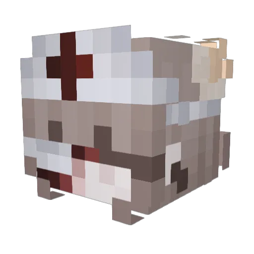 hotducky Minecraft avatar head, 3D render