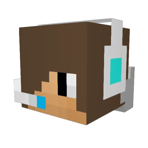 hotfuz_1_ Minecraft avatar head, 3D render