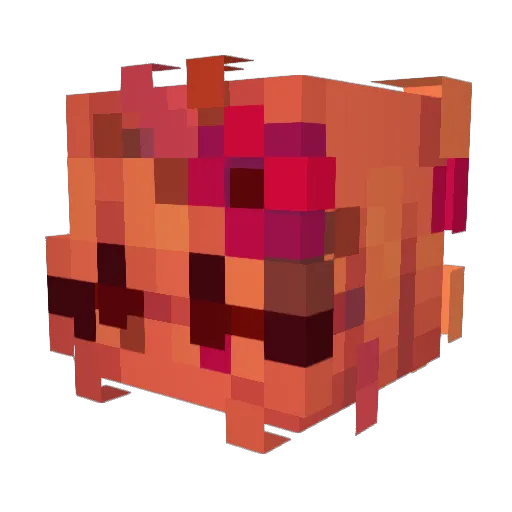 hotgum Minecraft avatar head, 3D render