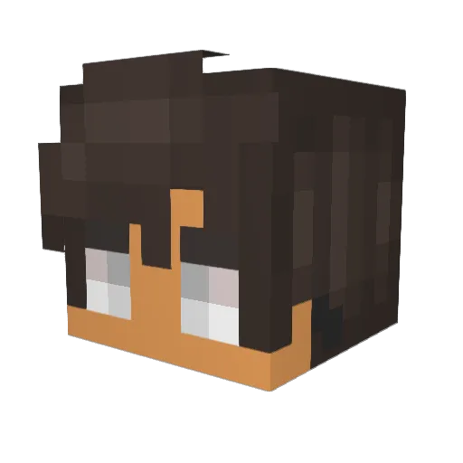 hotpocketsensei Minecraft avatar head, 3D render