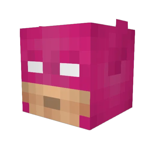 hotsaucetiddies Minecraft avatar head, 3D render
