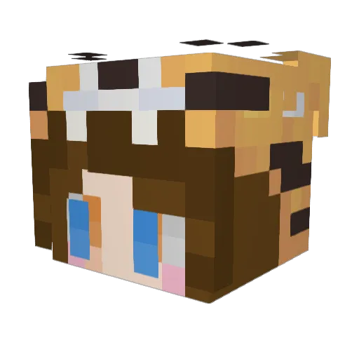 hottest_cheeto Minecraft avatar head, 3D render
