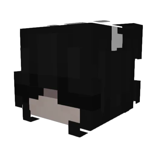 hottiehere Minecraft avatar head, 3D render