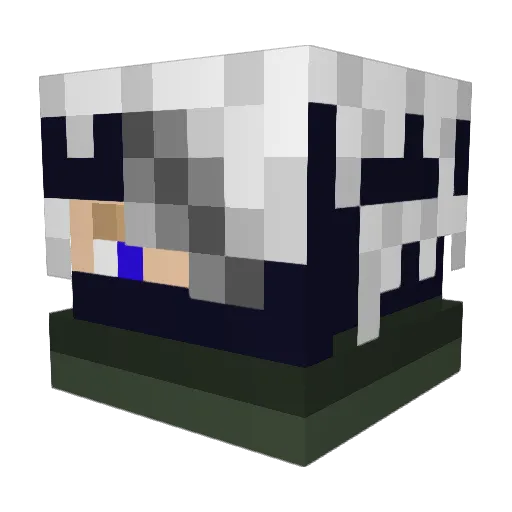 hotwings2 Minecraft avatar head, 3D render