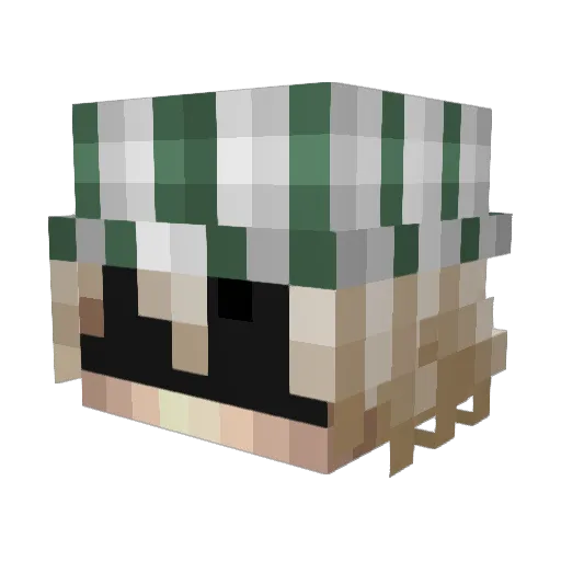 houceni Minecraft avatar head, 3D render