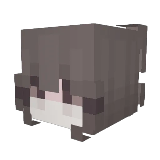 houjicha_ Minecraft avatar head, 3D render