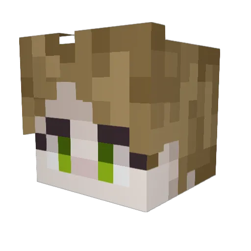 houseofamber Minecraft avatar head, 3D render