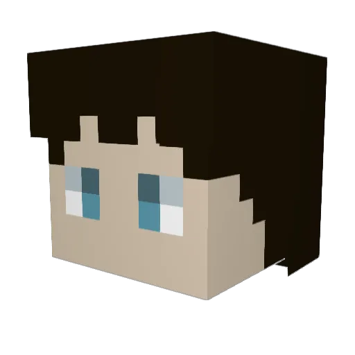 houseofpig Minecraft avatar head, 3D render