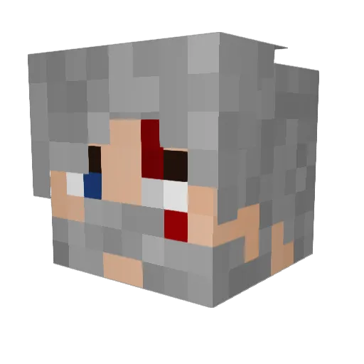 houston34156 Minecraft avatar head, 3D render