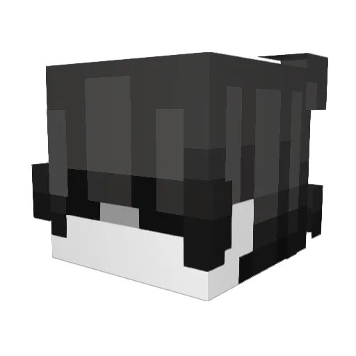 hovecove Minecraft avatar head, 3D render