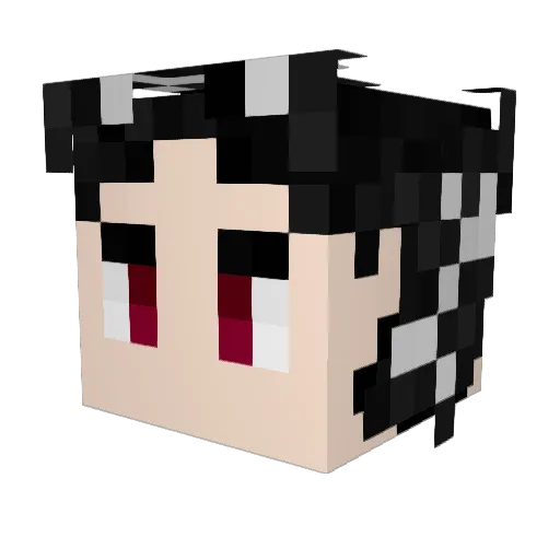 howahoo Minecraft avatar head, 3D render