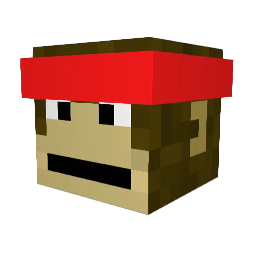 howardlax7 Minecraft avatar head, 3D render