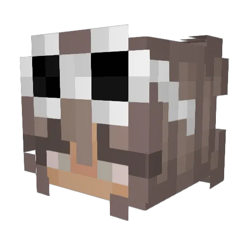 howashere Minecraft avatar head, 3D render