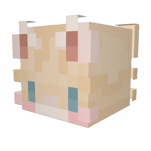 howbout_that Minecraft avatar head, 3D render