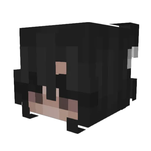 howdeezz Minecraft avatar head, 3D render