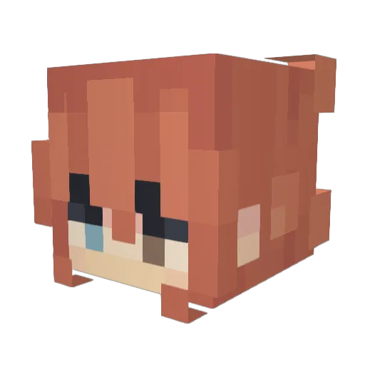 howdidigethere1 Minecraft avatar head, 3D render