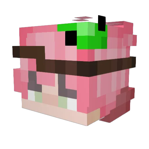 howhere Minecraft avatar head, 3D render