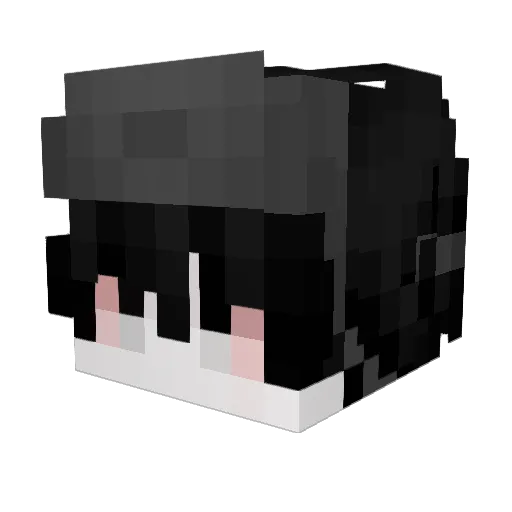 howname Minecraft avatar head, 3D render