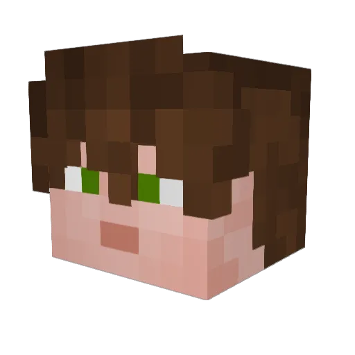 howseFinch Minecraft avatar head, 3D render