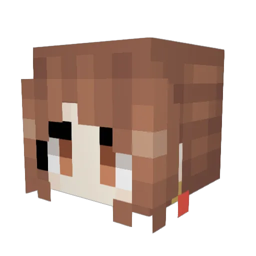 hox01 Minecraft avatar head, 3D render
