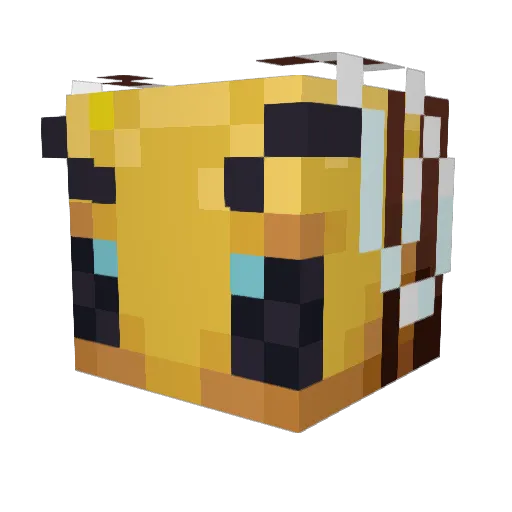 hoytoba Minecraft avatar head, 3D render