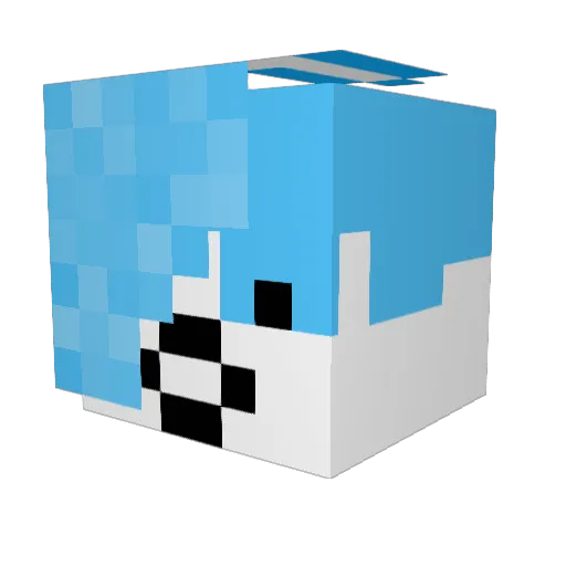 hp_lovecat Minecraft avatar head, 3D render