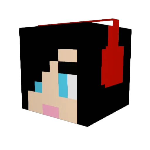 hpcat Minecraft avatar head, 3D render
