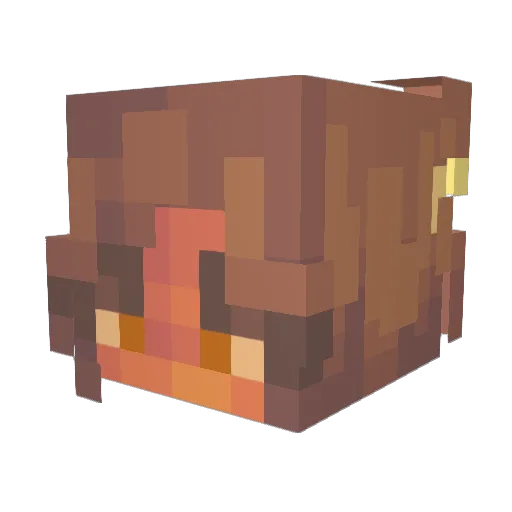hpg_ygc Minecraft avatar head, 3D render