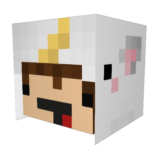 hpnr Minecraft avatar head, 3D render