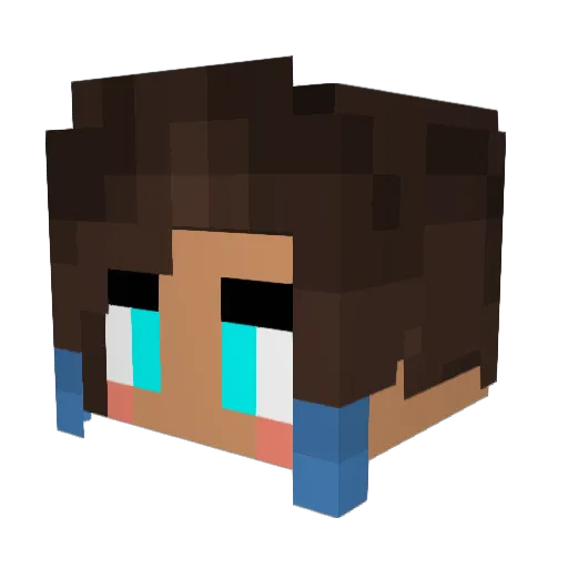 hpw96 Minecraft avatar head, 3D render