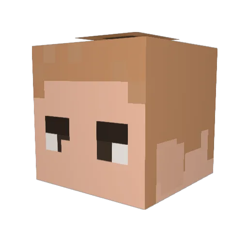 hpw99 Minecraft avatar head, 3D render