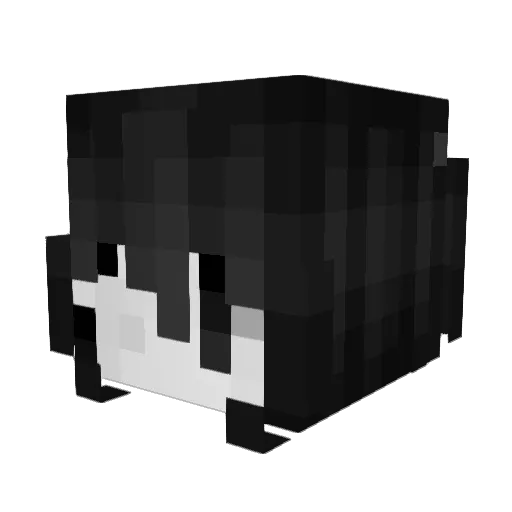 hpwp Minecraft avatar head, 3D render
