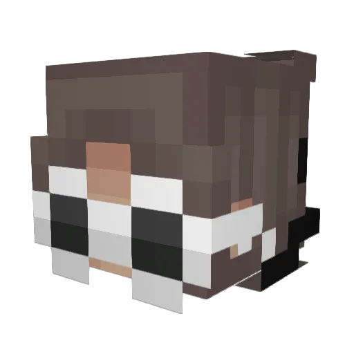 hqnnqh33 Minecraft avatar head, 3D render