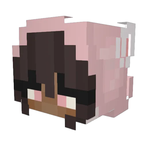 hqnnx Minecraft avatar head, 3D render
