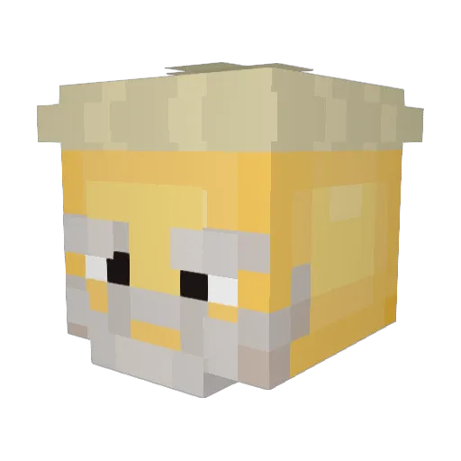 hqus Minecraft avatar head, 3D render