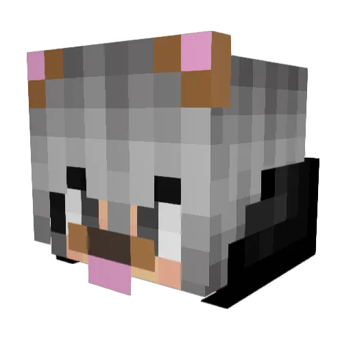 hqwaii Minecraft avatar head, 3D render