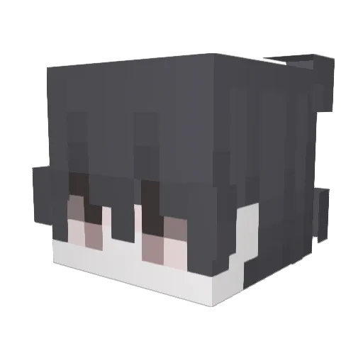 hqx Minecraft avatar head, 3D render