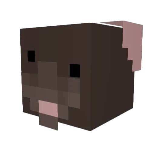 hqz3 Minecraft avatar head, 3D render