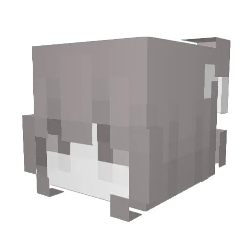 hqzll Minecraft avatar head, 3D render