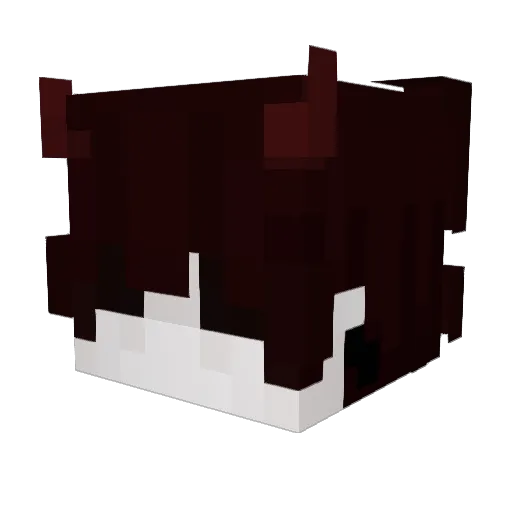 hrd1337 Minecraft avatar head, 3D render