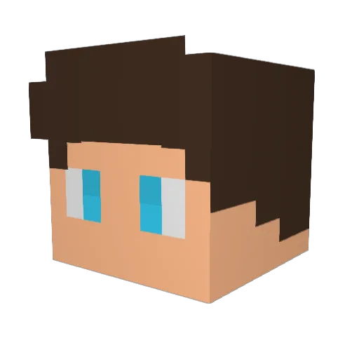 hrisk0x Minecraft avatar head, 3D render