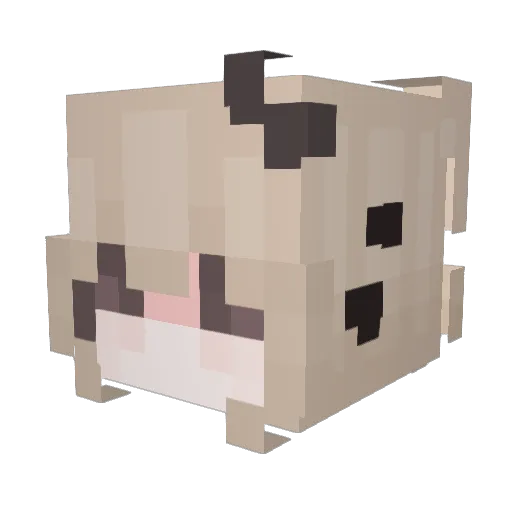 hrkitten920 Minecraft avatar head, 3D render