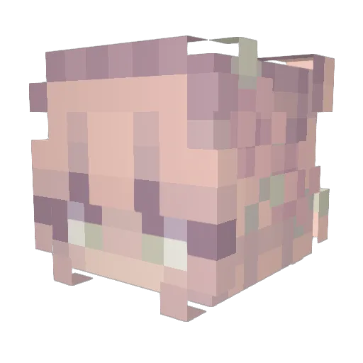 hrkkng Minecraft avatar head, 3D render